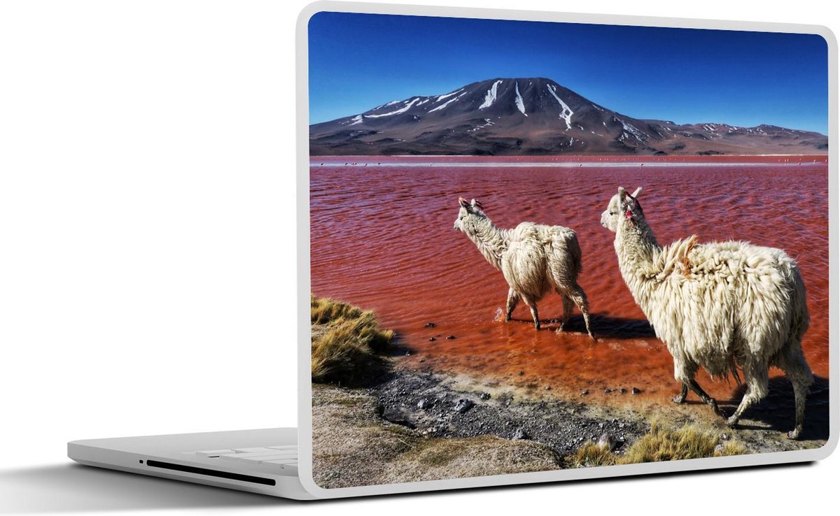 Laptop sticker - 10.1 inch - Alpaca's in Bolivia