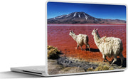 Laptop sticker - 10.1 inch - Alpaca's in Bolivia