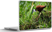 Laptop sticker - 10.1 inch - Afrikaanse jacana op zoek naar zijn prooi tussen de hoge grassen