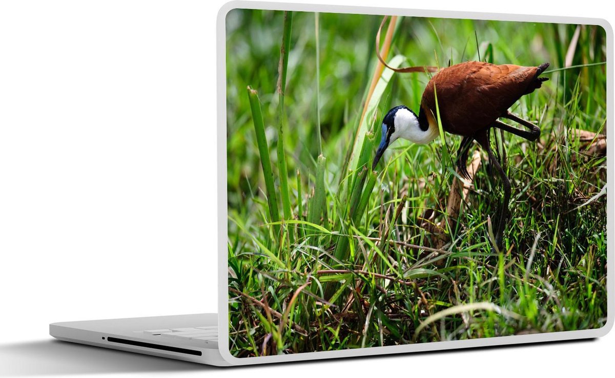 Laptop sticker - 10.1 inch - Afrikaanse jacana op zoek naar zijn prooi tussen de hoge grassen