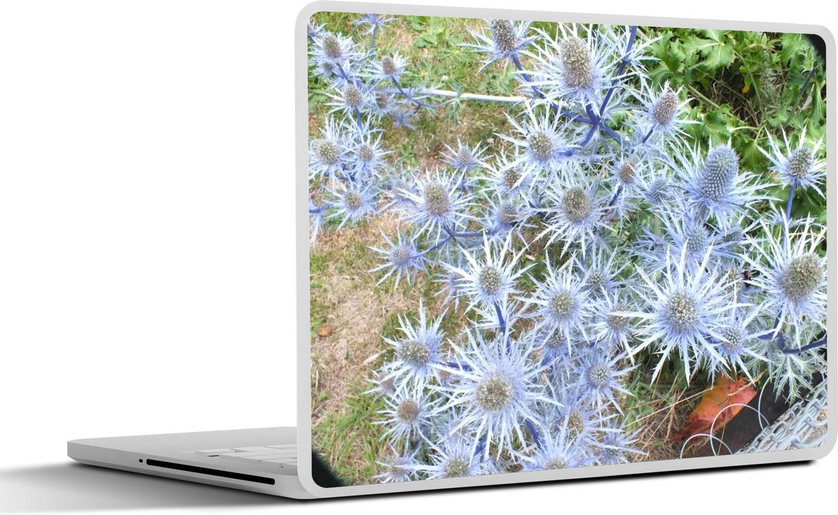 Laptop sticker - 10.1 inch - Afbeelding van een lichte en bloeiende zilverdistel