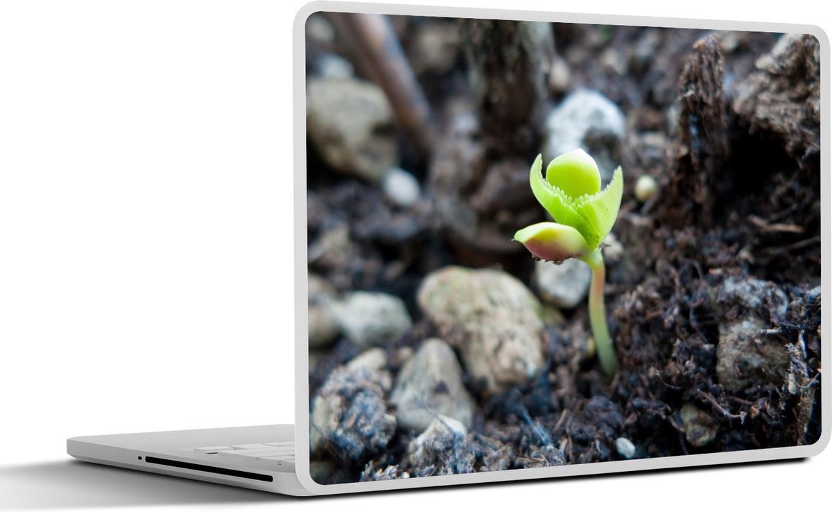 Laptop sticker - 10.1 inch - alfalfa of luzerne plant in de grond