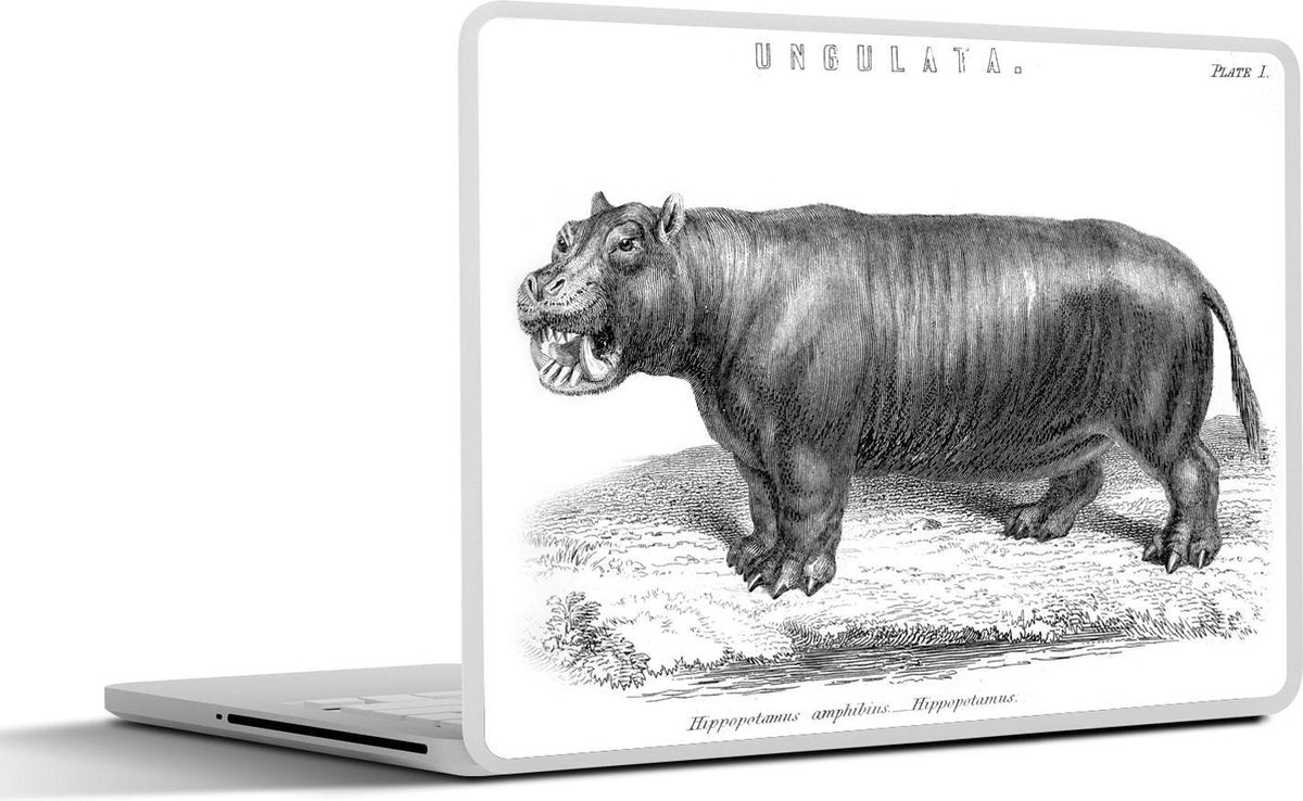 Laptop sticker - 10.1 inch - Illustratie van een nijlpaard die boos is