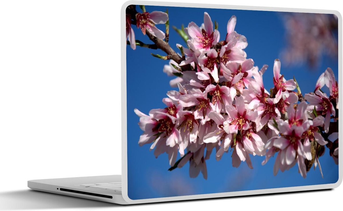 Laptop sticker - 10.1 inch - Amandelbloemen aan tak