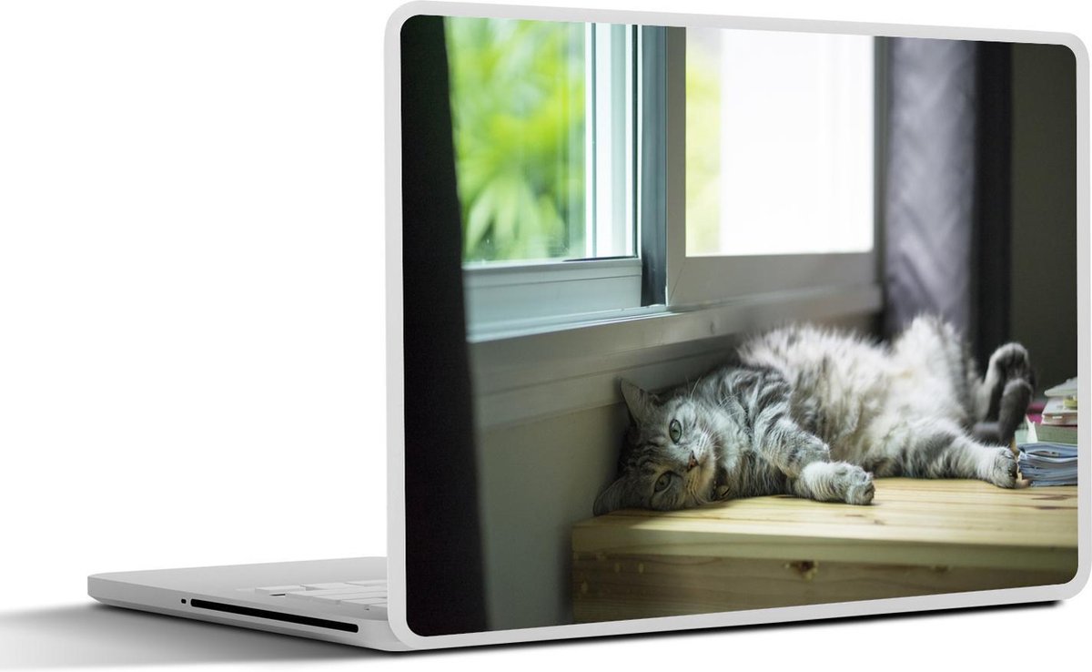 Laptop sticker - 10.1 inch - Amerikaanse Korthaar ligt bij het raam