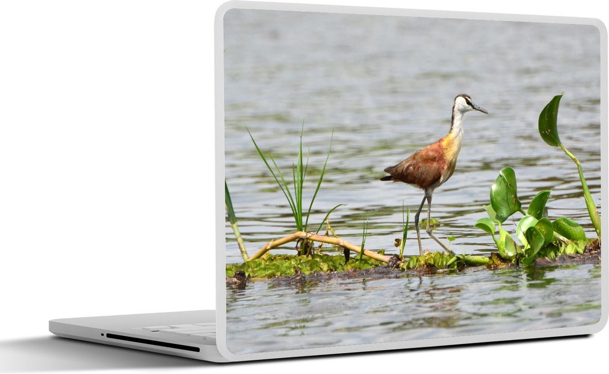 Laptop sticker - 10.1 inch - Afrikaanse jacana of lelieloper loopt over waterplanten