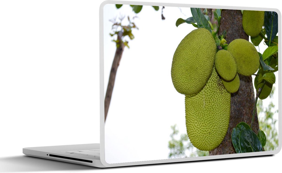 Laptop sticker - 10.1 inch - Jackfruit in een bijzonder lichte kleur groen aan een boom