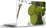 Laptop sticker - 10.1 inch - Jackfruit in een bijzonder lichte kleur groen aan een boom