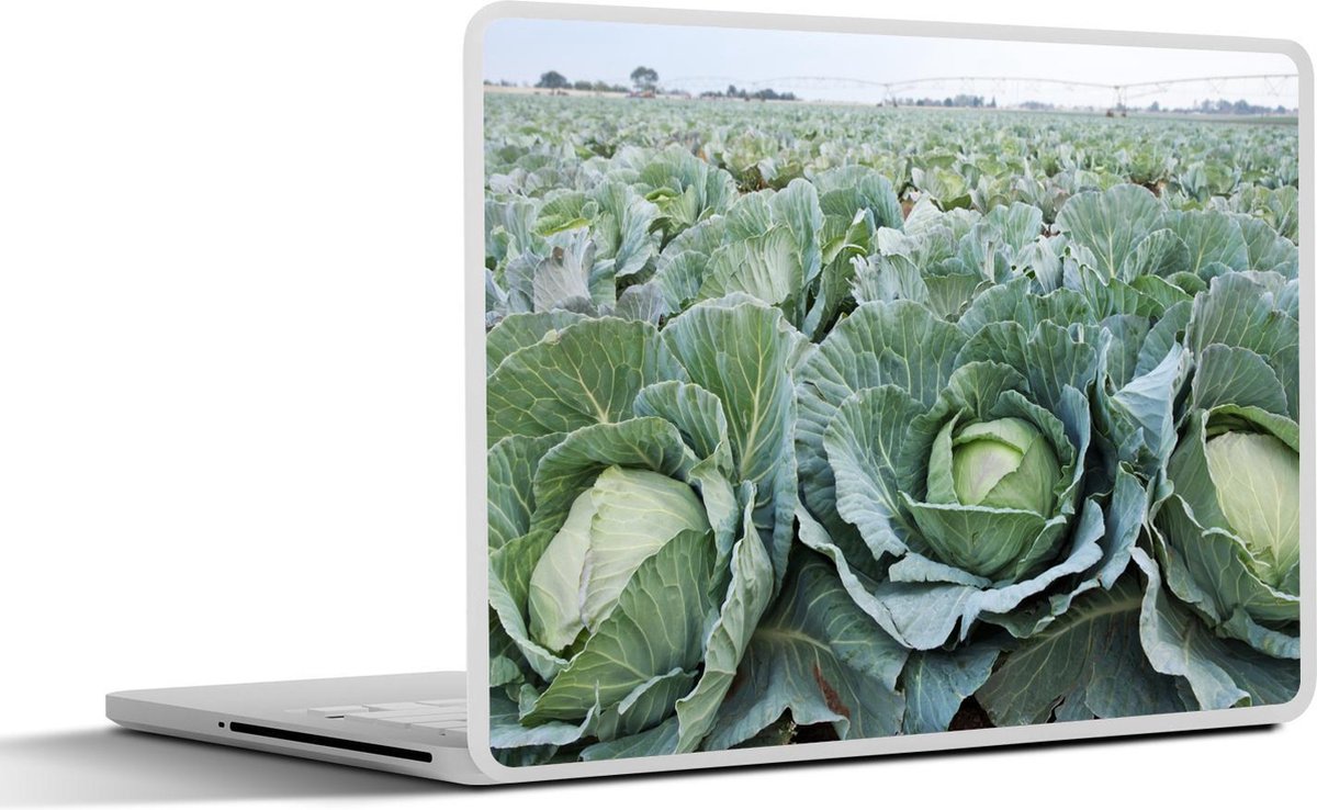 Laptop sticker - 10.1 inch - Aantal kolen op een plantage