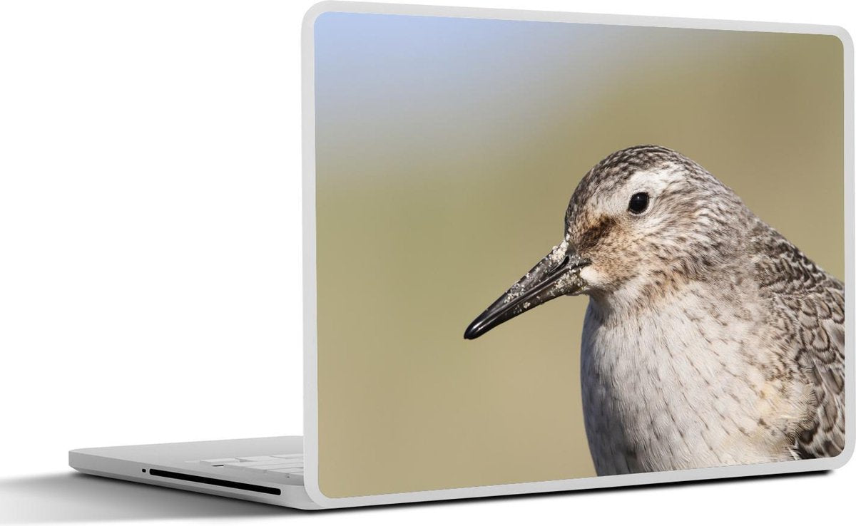 Laptop sticker - 10.1 inch -  een kanoet met een onscherpe achtergrond