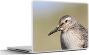 Laptop sticker - 10.1 inch -  een kanoet met een onscherpe achtergrond