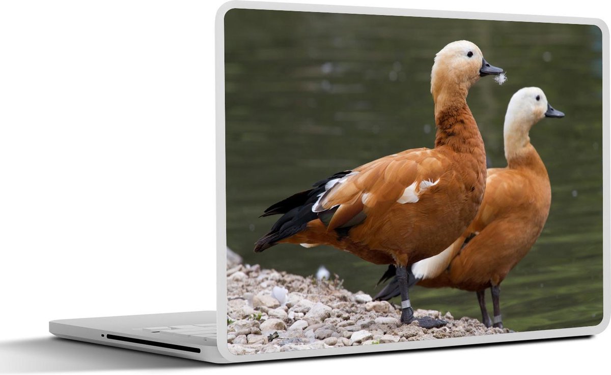 Laptop sticker - 10.1 inch -  twee bergeenden aan een meer