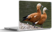 Laptop sticker - 10.1 inch -  twee bergeenden aan een meer