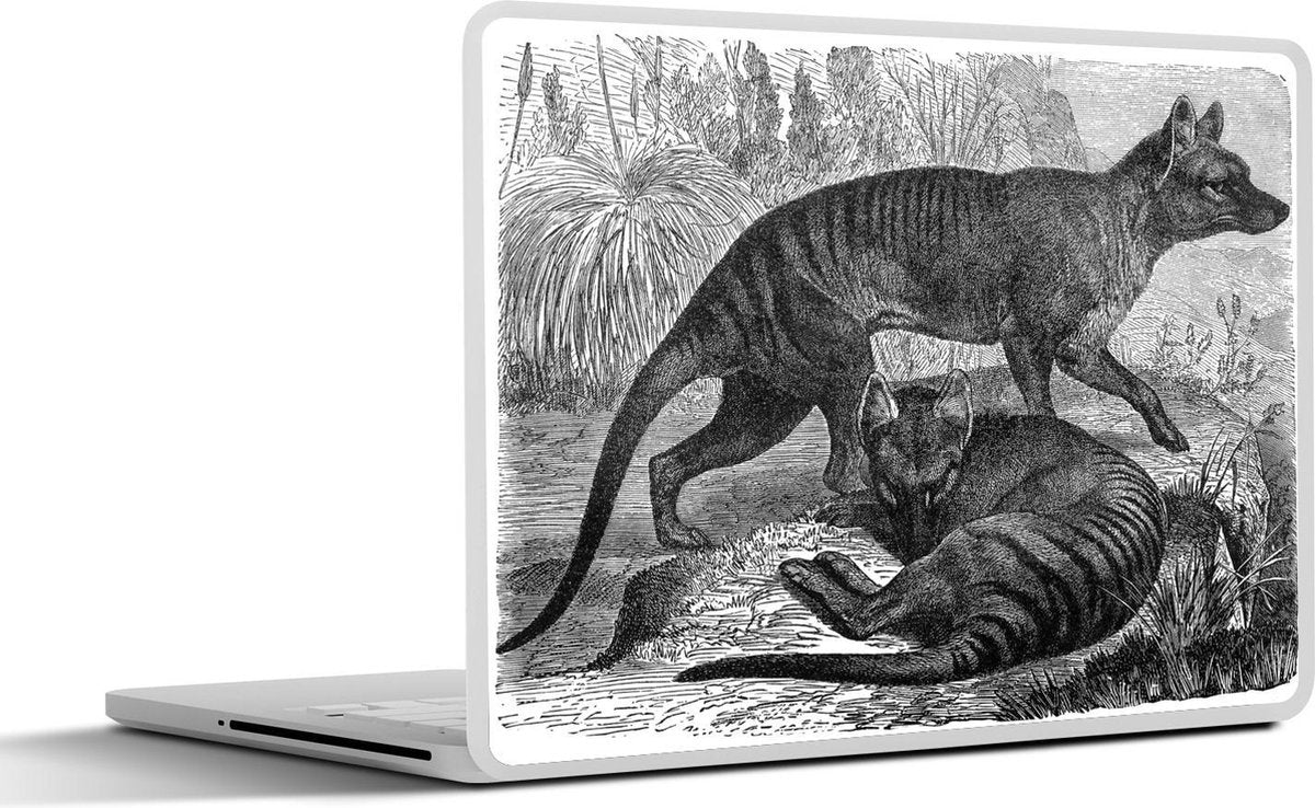 Laptop sticker - 10.1 inch - Illustratie van twee Buidelwolven