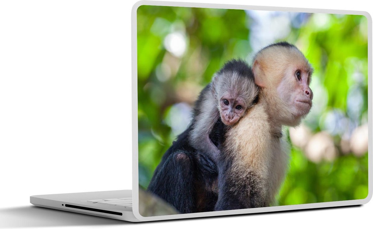 Laptop sticker - 10.1 inch - Aap met jong op rug