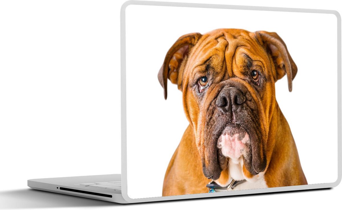 Laptop sticker - 10.1 inch -  een goudbruine Engelse Buldog