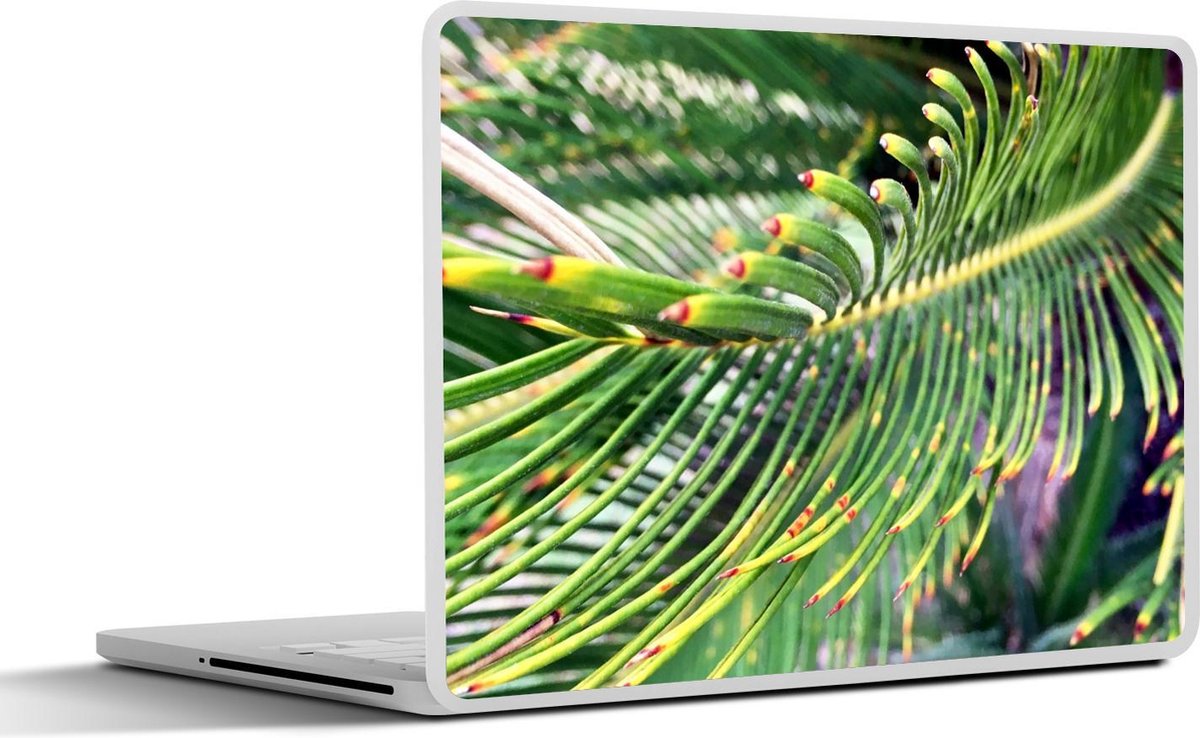 Laptop sticker - 10.1 inch - Afbeelding van een sago plant met een vervaagde achtergrond