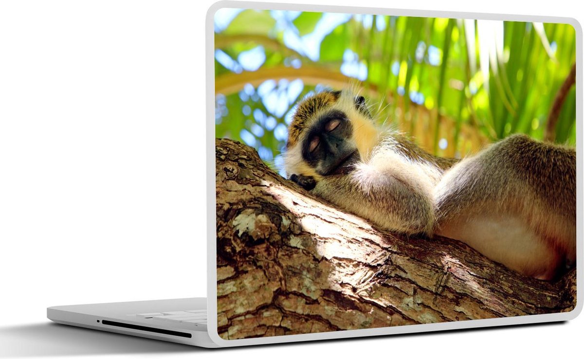 Laptop sticker - 10.1 inch - Aap - Boom - Slaap