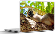 Laptop sticker - 10.1 inch - Aap - Boom - Slaap