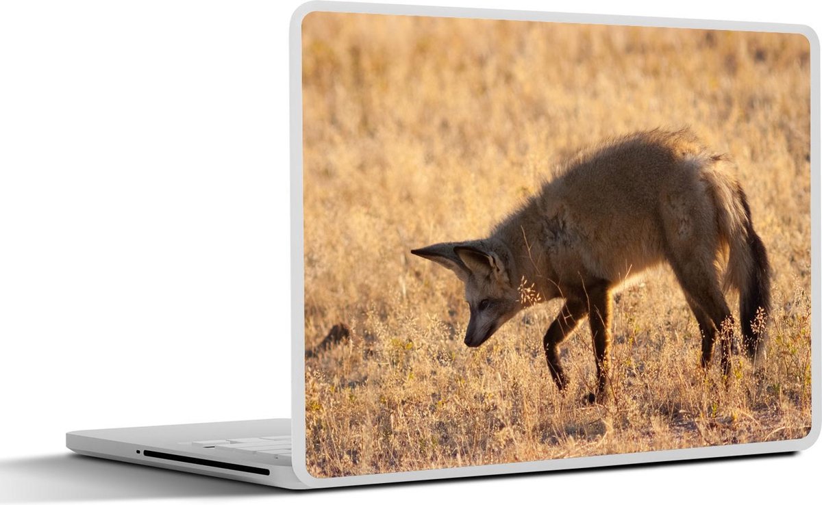 Laptop sticker - 10.1 inch - Jagende grootoorvos