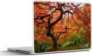 Laptop sticker - 10.1 inch - Afbeelding van een Japanse esdoorn