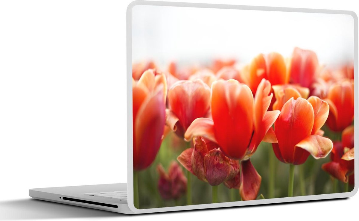 Laptop sticker - 10.1 inch - Afbeelding van de bladeren van rode tulpen