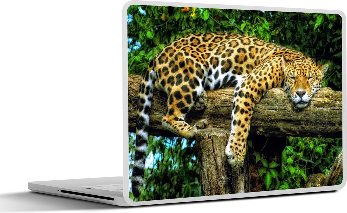 Laptop sticker - 10.1 inch - Jaguar - Boom - Regenwoud