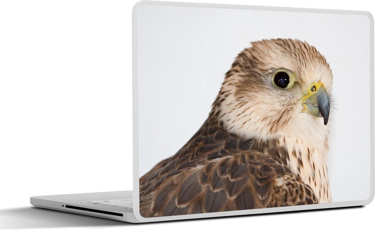 Laptop sticker - 10.1 inch -  een Sakervalk tegen witte achtergrond