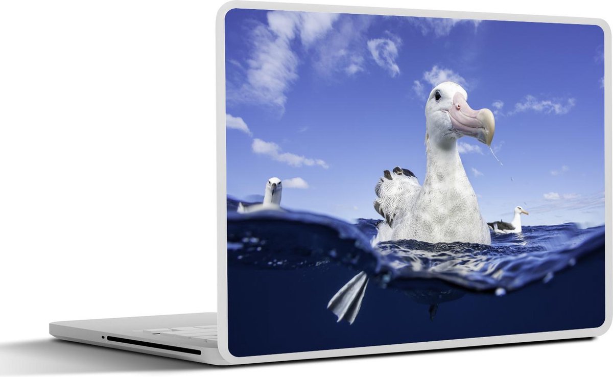 Laptop sticker - 10.1 inch - Ingezoomde weergave van meerder albatrossen
