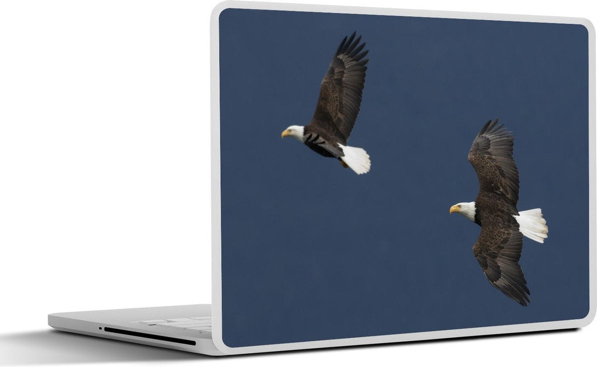 Laptop sticker - 10.1 inch - Adelaar paar