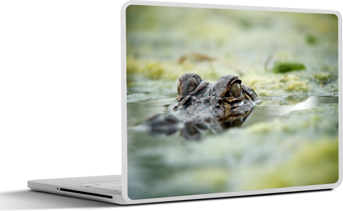 Laptop sticker - 10.1 inch - Alligator - Groen - Water