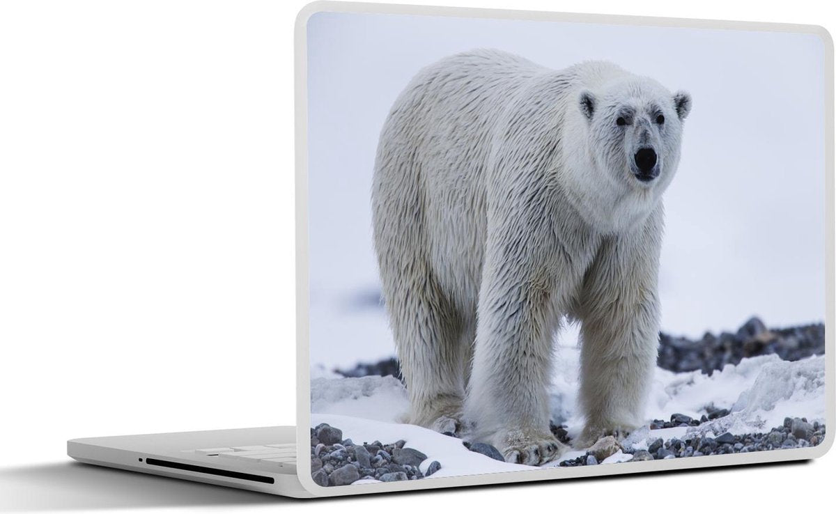 Laptop sticker - 10.1 inch -  een ijsbeer