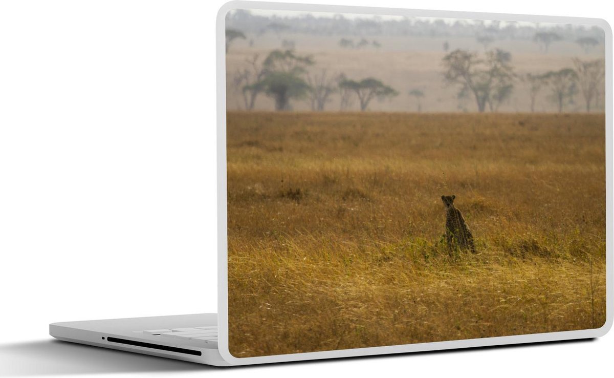 Laptop sticker - 10.1 inch - Jachtluipaard op de savanne