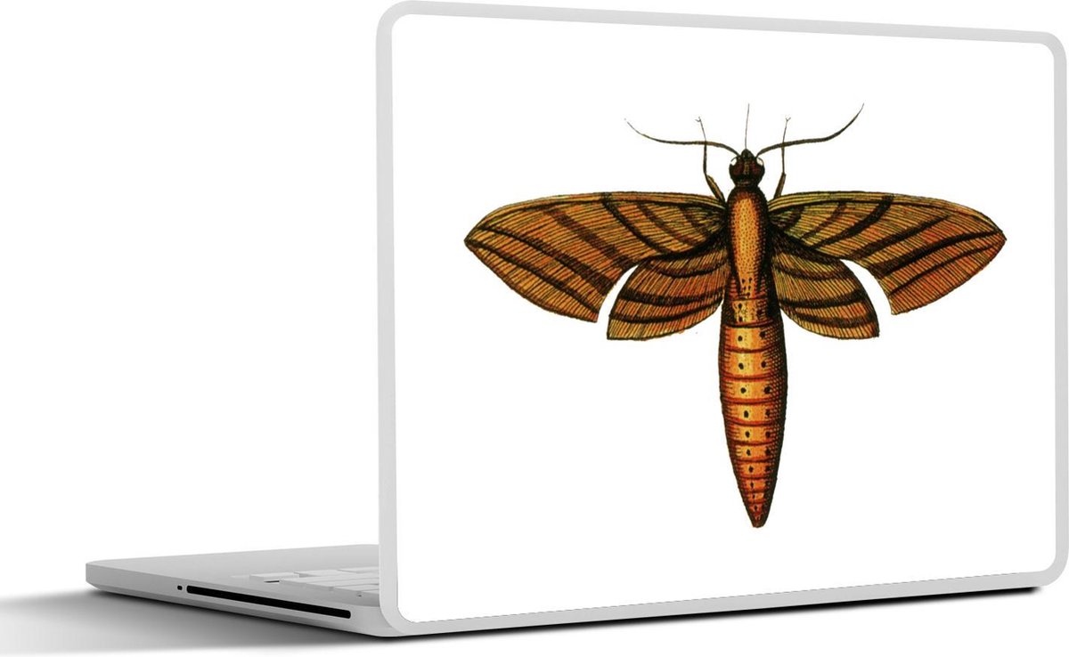Laptop sticker - 10.1 inch - Illustratie van een oranje met zwarte mot