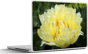 Laptop sticker - 10.1 inch - Afbeelding van een gele pioenroos