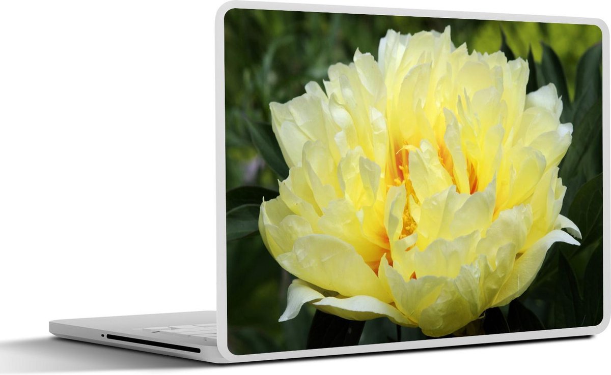 Laptop sticker - 10.1 inch - Afbeelding van een gele pioenroos