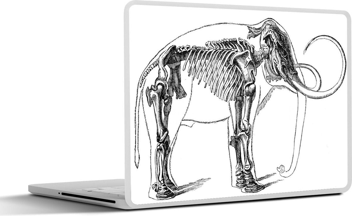 Laptop sticker - 10.1 inch - Illustratie van een mammoet skelet in de huid
