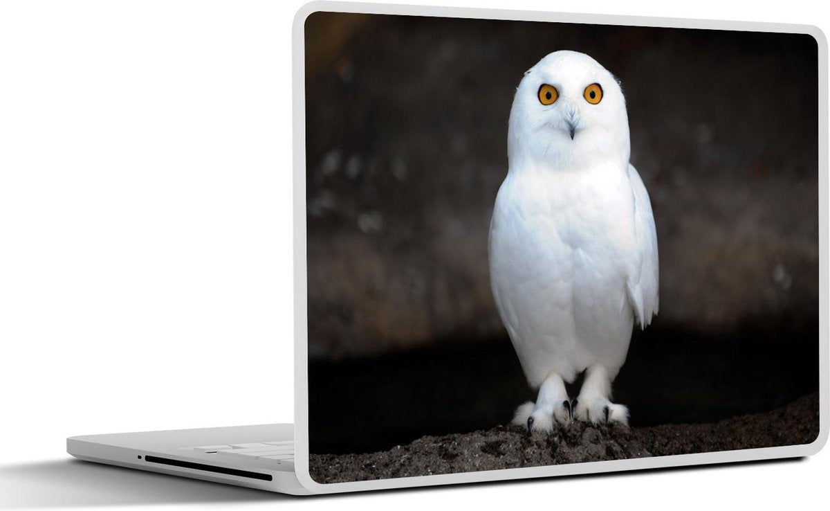 Laptop sticker - 10.1 inch -  een sneeuwuil donkere achtergrond