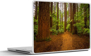 Laptop sticker - 10.1 inch - Afbeelding van een bos met Redwood bomen