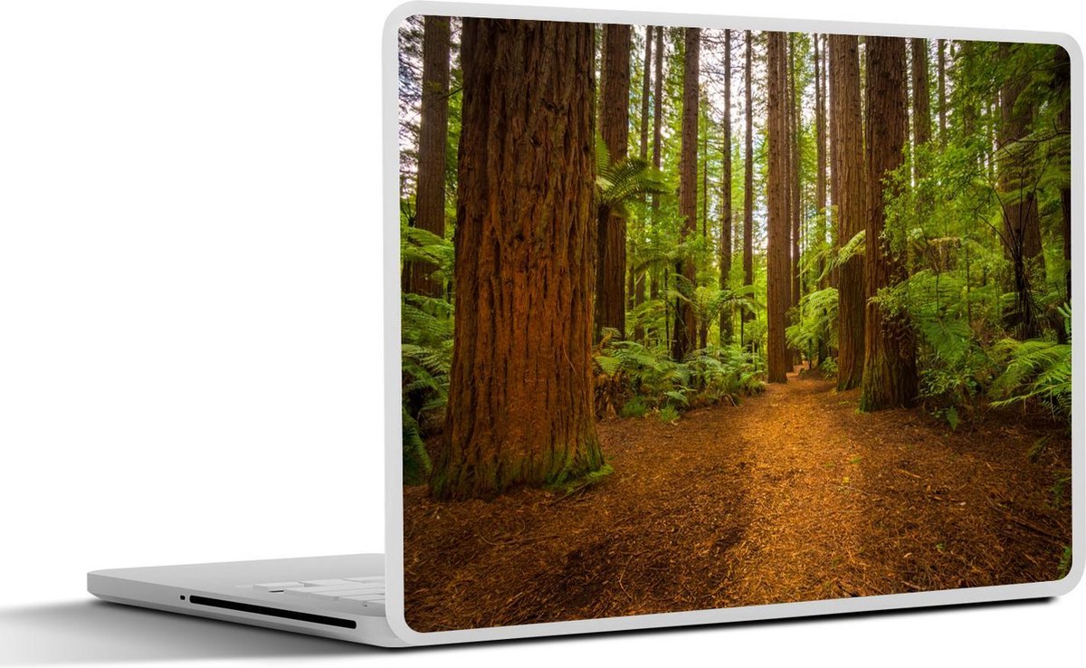 Laptop sticker - 10.1 inch - Afbeelding van een bos met Redwood bomen
