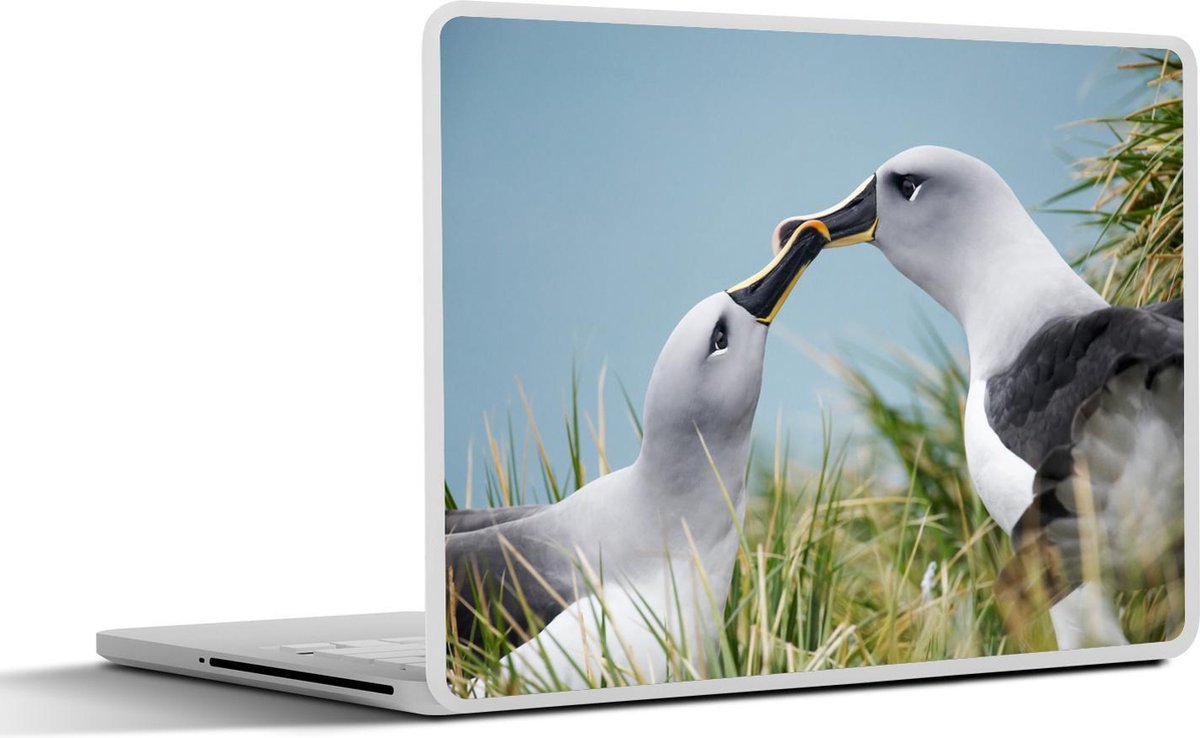 Laptop sticker - 10.1 inch - Albatrossen in het gras