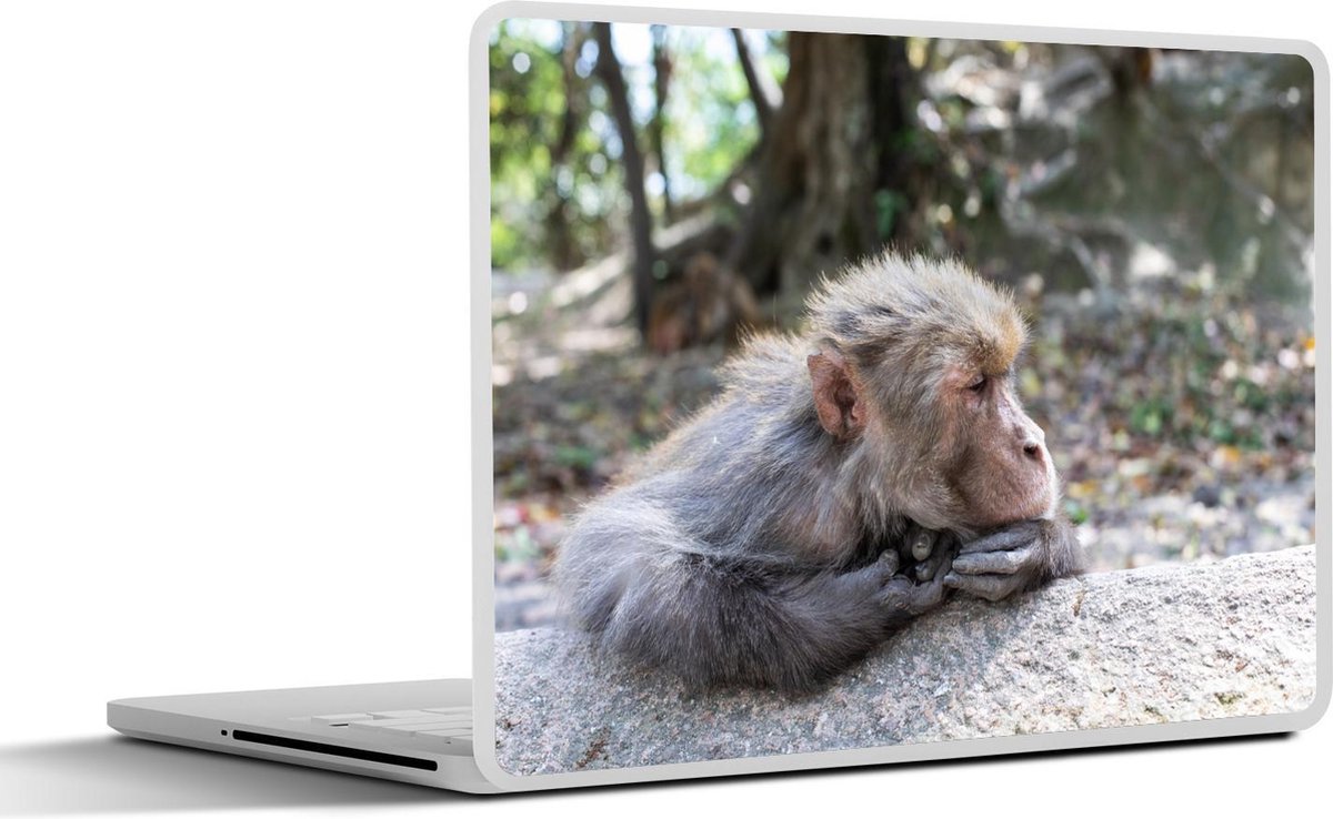 Laptop sticker - 10.1 inch - Aap - Steen - Slapen