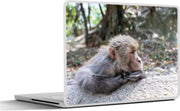 Laptop sticker - 10.1 inch - Aap - Steen - Slapen