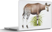Laptop sticker - 10.1 inch - Illustratie van een Okapi