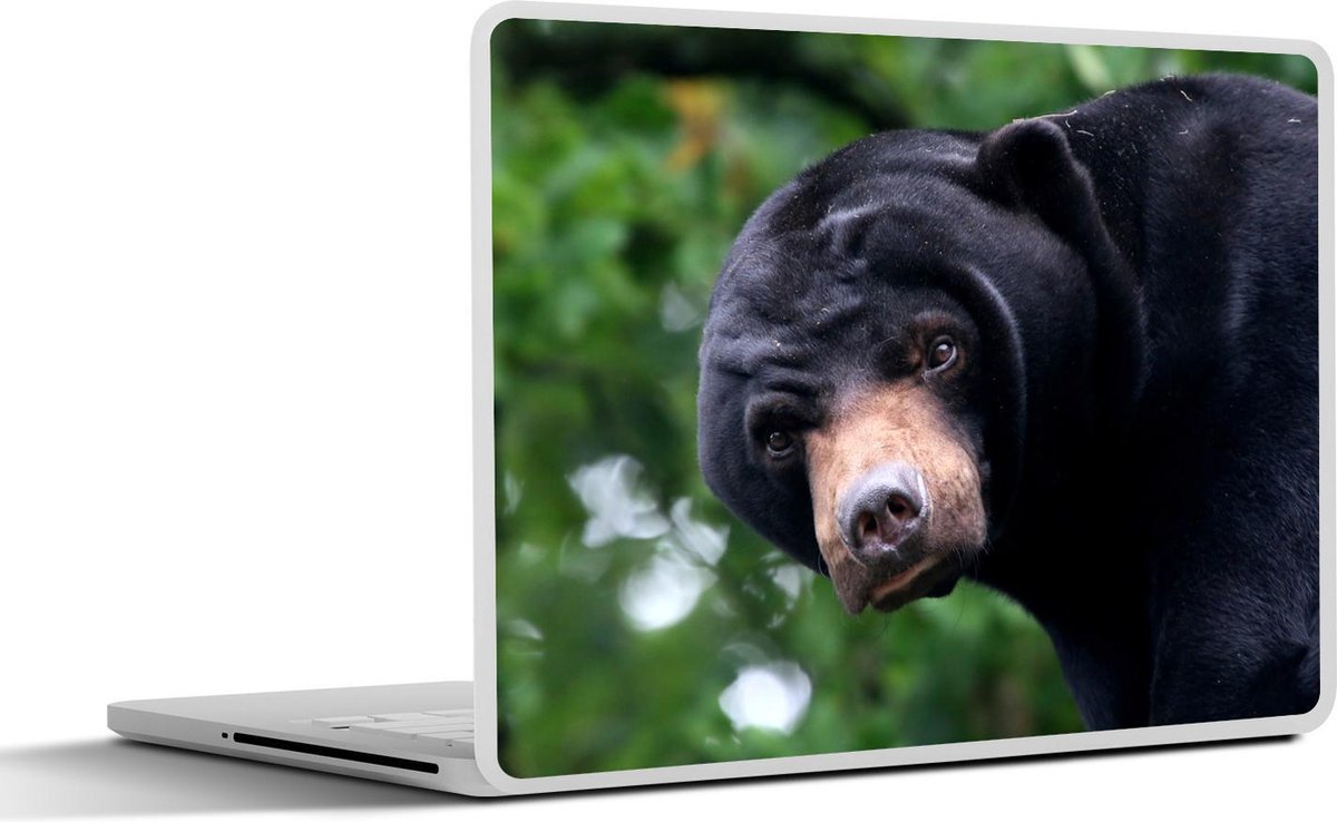 Laptop sticker - 10.1 inch -  een Maleise beer