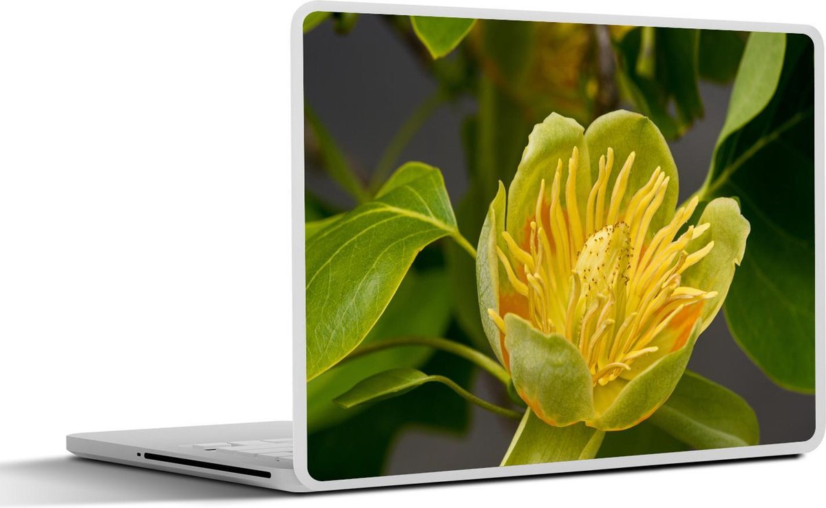 Laptop sticker - 10.1 inch -  een tulp in een tulpenboom