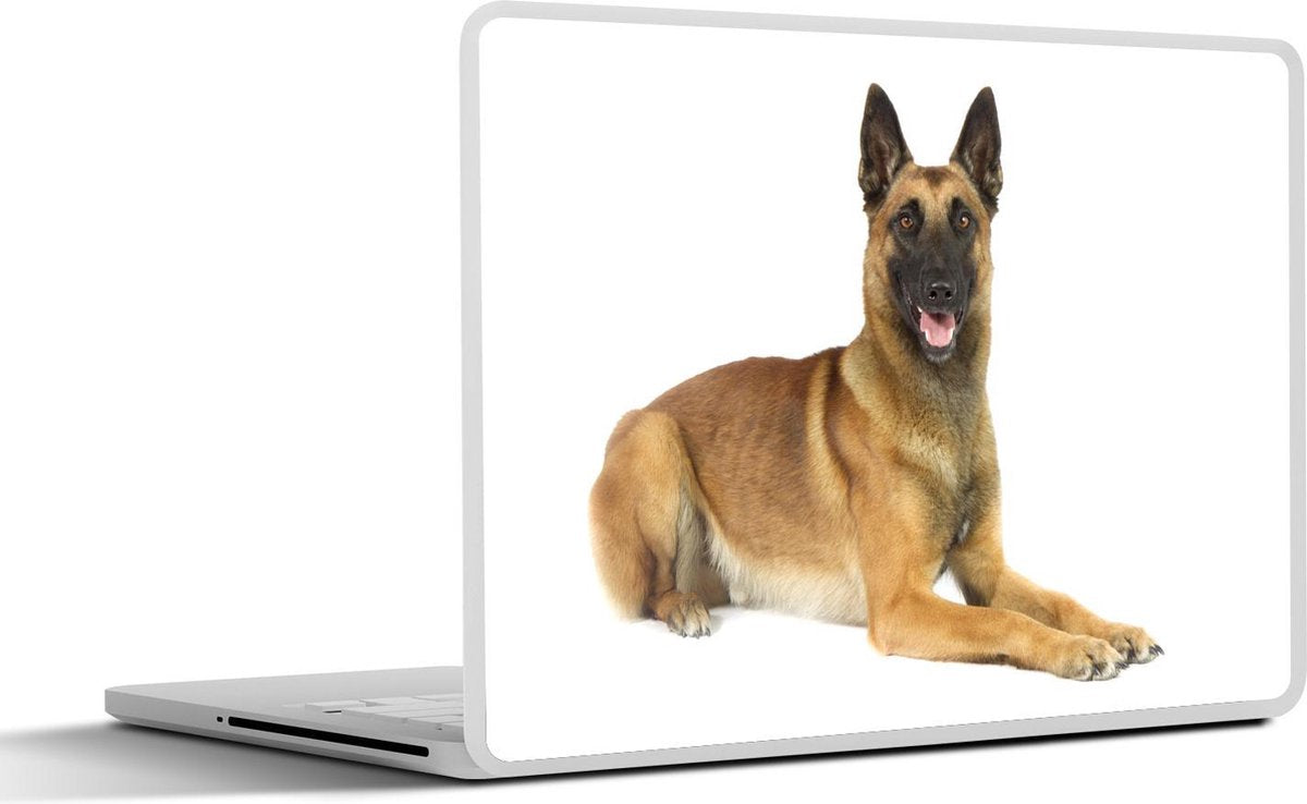 Laptop sticker - 10.1 inch -  een brave Mechelse herder