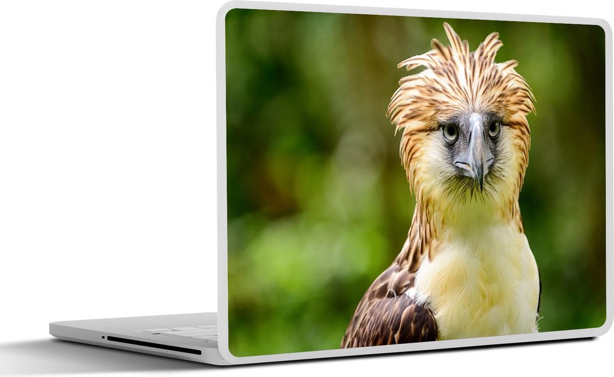 Laptop sticker - 10.1 inch -  een Filipijnse apenarend