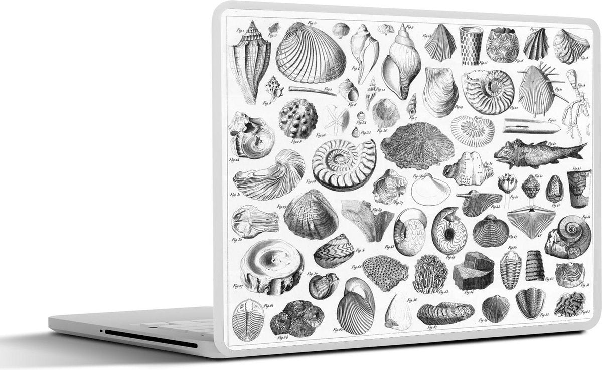 Laptop sticker - 10.1 inch - Illustraties van fossielen uit verschillende tijdperken