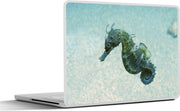 Laptop sticker - 10.1 inch - Afbeelding van een zeepaardje in de zee